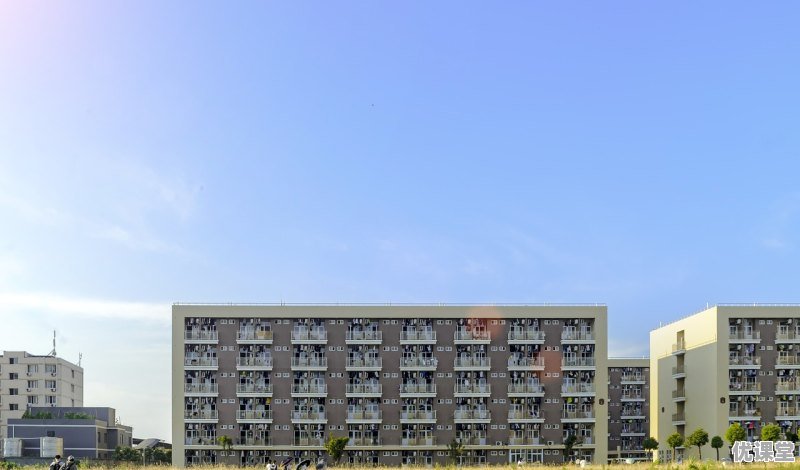 1997年青海大学录取分数线_2020年青海大学录取分