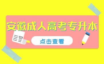 2024年安徽成考专升本法学报名网址