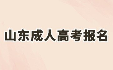 2024年山东成人高考报名网址及时间