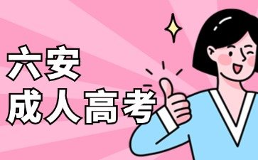 六安2024年成考会计学专业报名要求一览